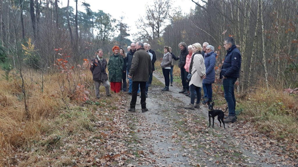 Boswandeling-3